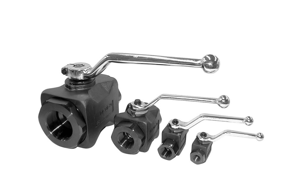 s-BV-T-21 | ??????????? ??????? Tokyo Japan